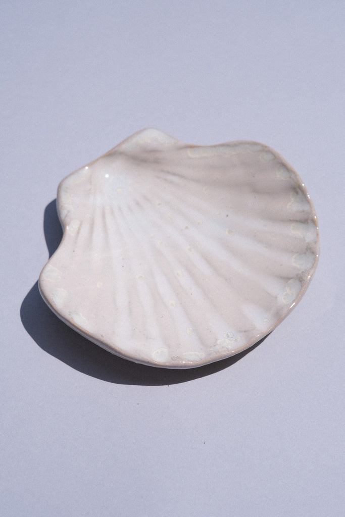 🐚 Coupelle coquillage – Reflets nacrés