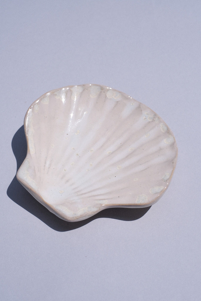 🐚 Coupelle coquillage – Reflets nacrés