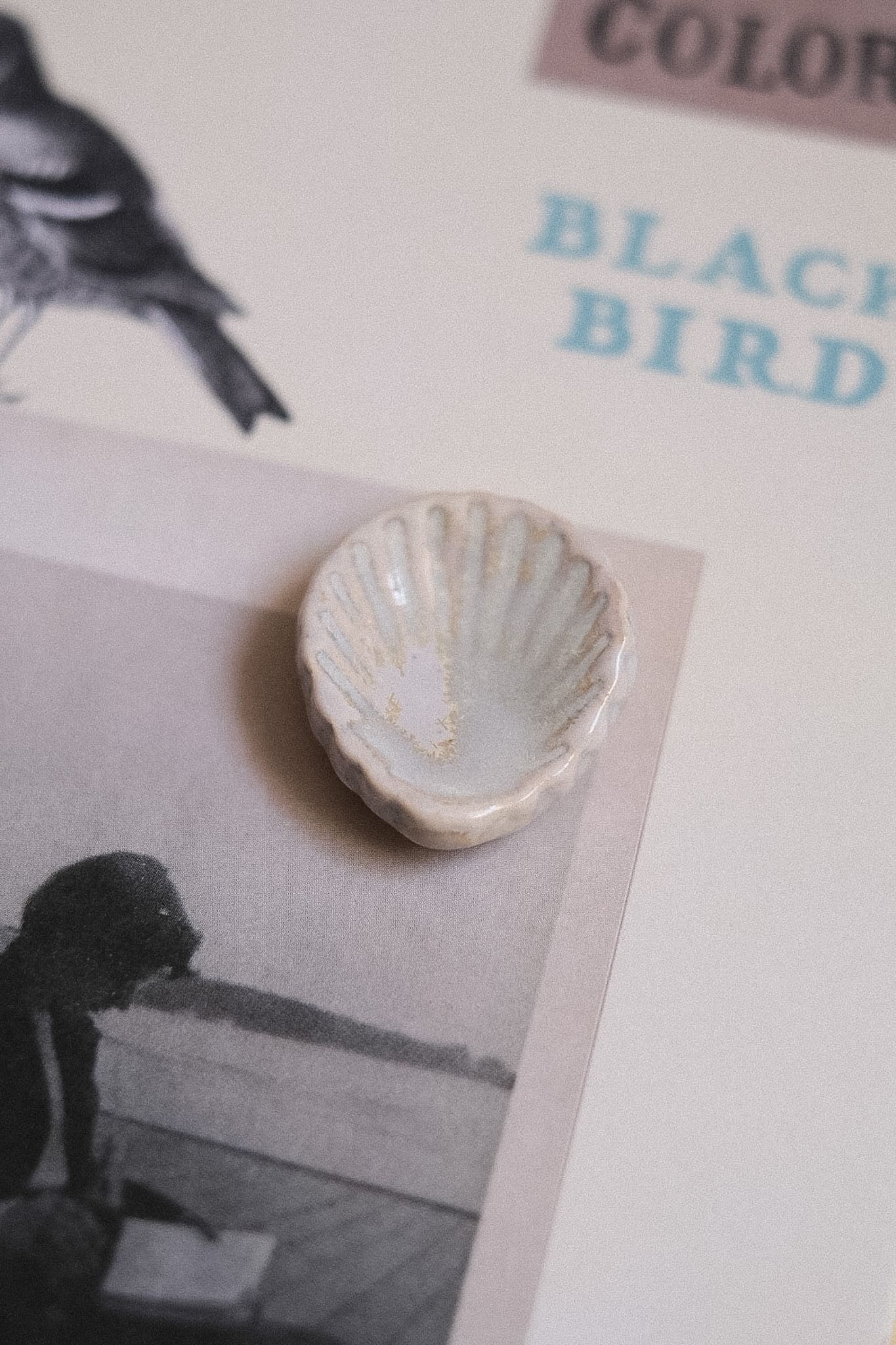 Pierre d’apaisement Worry Stone coquillage en céramique