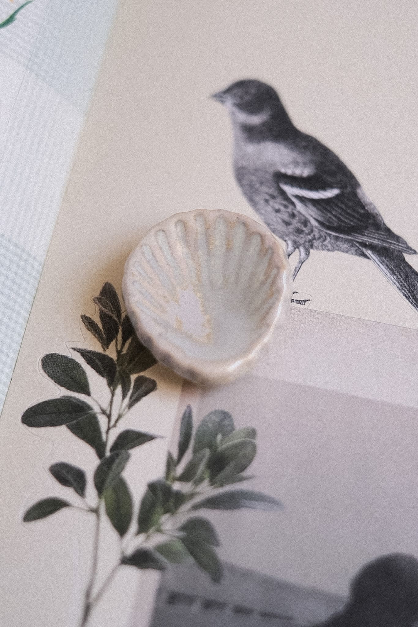 Pierre d’apaisement Worry Stone coquillage en céramique