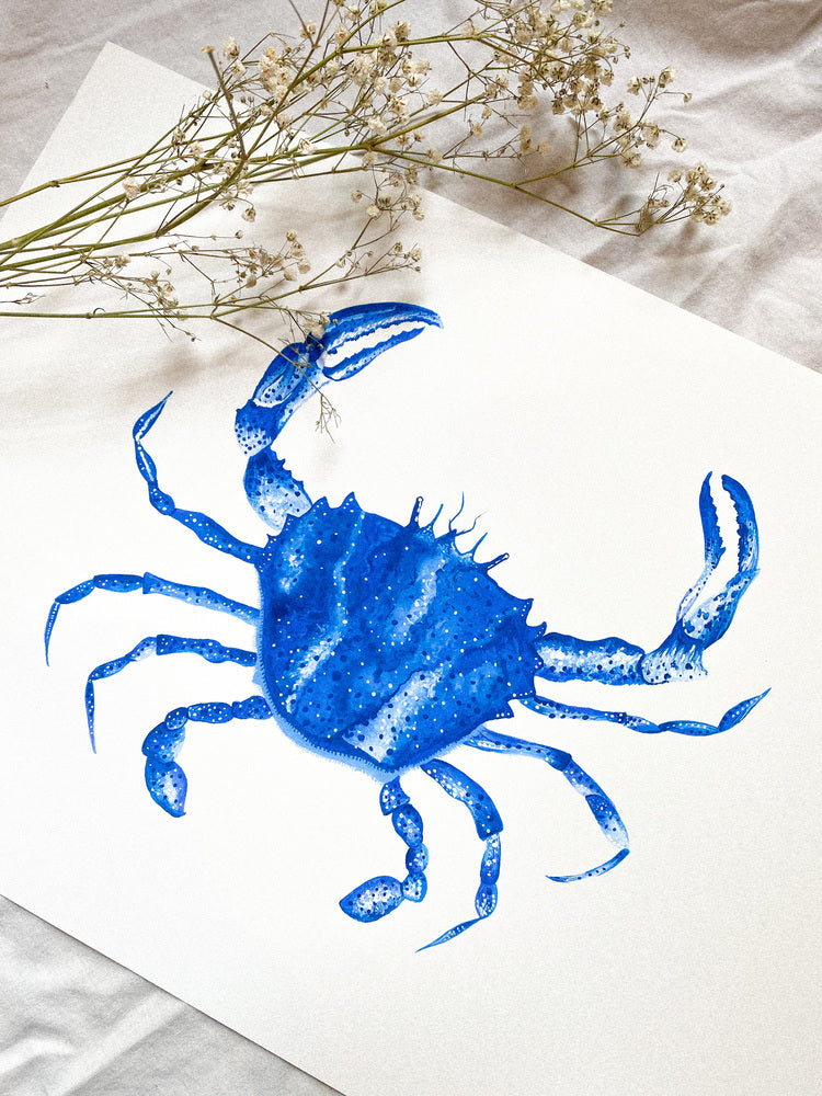 Affiche Crabe bleu